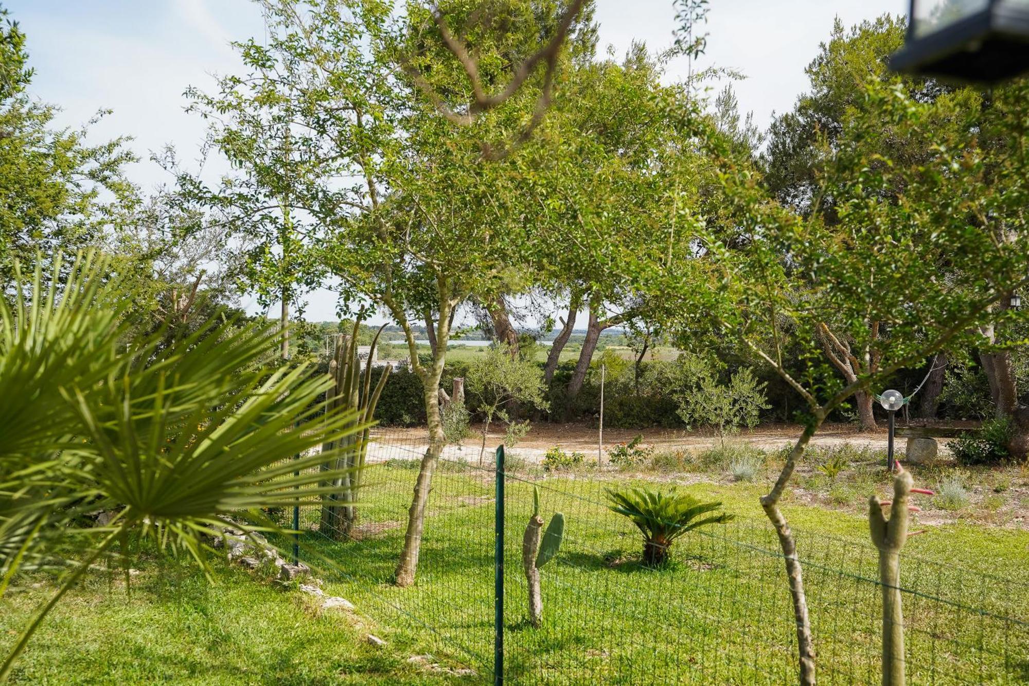 Casa Vacanza Russo Fernando Alimini Exterior photo